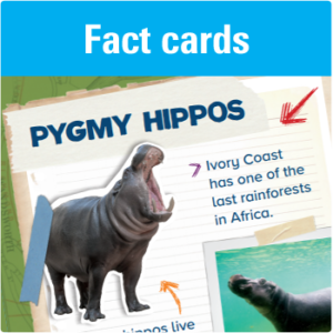 Fact cards